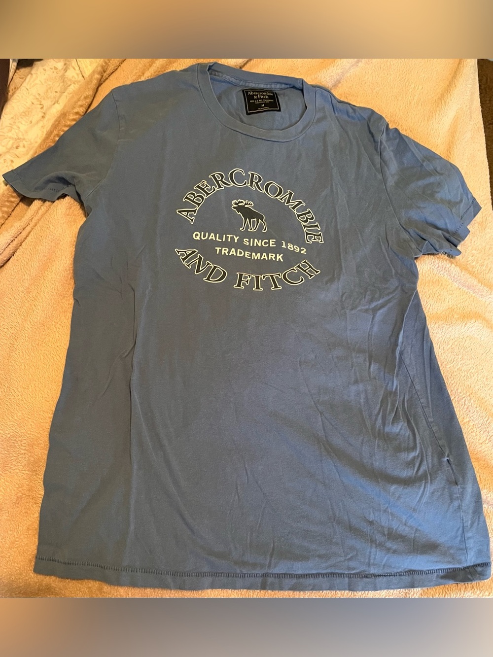 Abercrombie & Fitch Men’s Dusty Blue Logo Short Sleeve Tee
